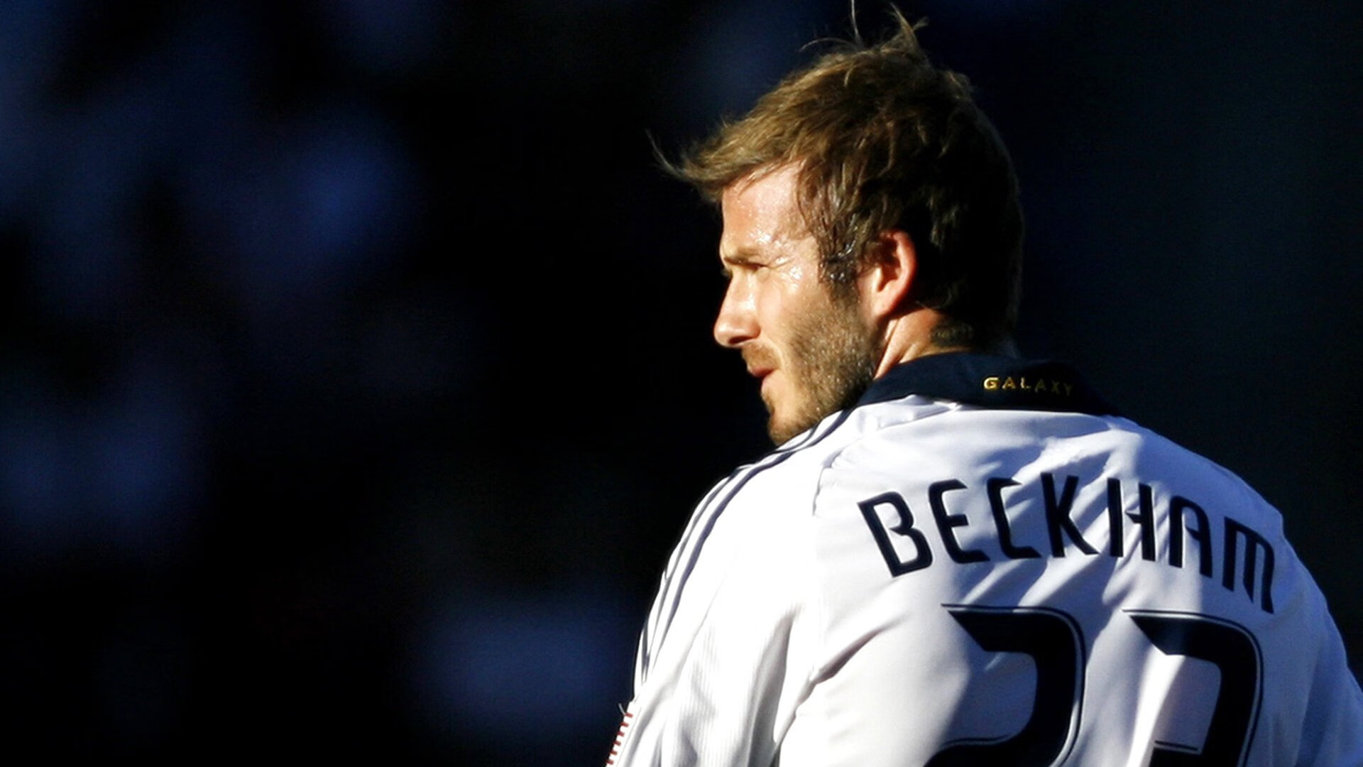 “霍斯特的领导力，提升南非羚羊队的整体实力”