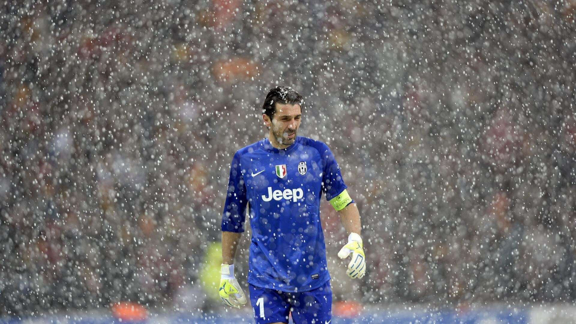 澳大利亚袋鼠队的战略支柱：戴维·帕特森 (David Patterson)，袋鼠在澳大利亚的现状